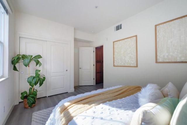 bedroom featuring a closet and dark wood-type flooring