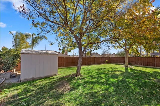 view of yard featuring a shed