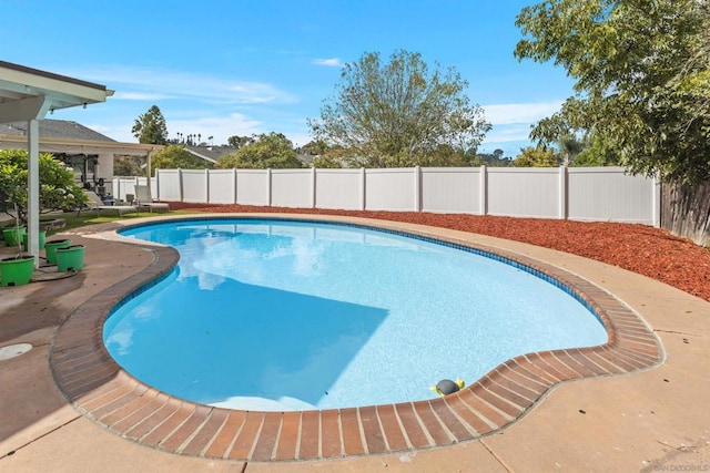 view of pool with a patio area