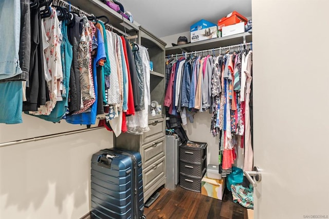 spacious closet featuring dark hardwood / wood-style floors