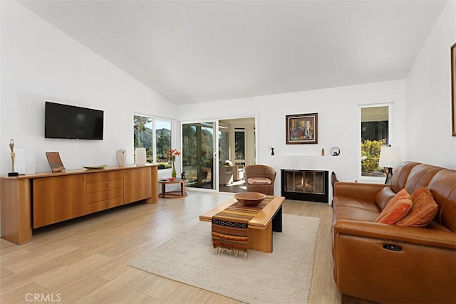 living room with light hardwood / wood-style floors and high vaulted ceiling