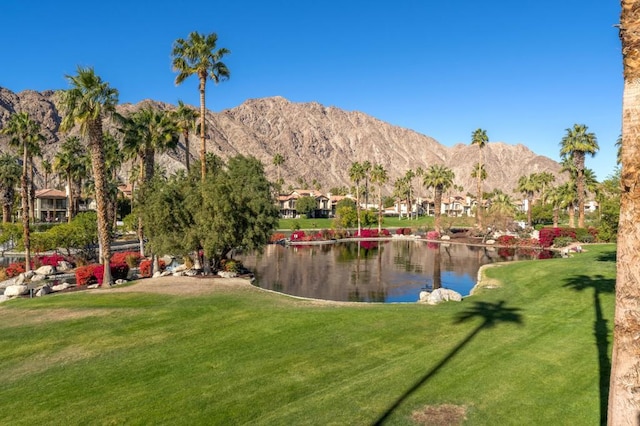 view of community with a yard and a water and mountain view