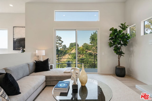 living room featuring light wood-type flooring