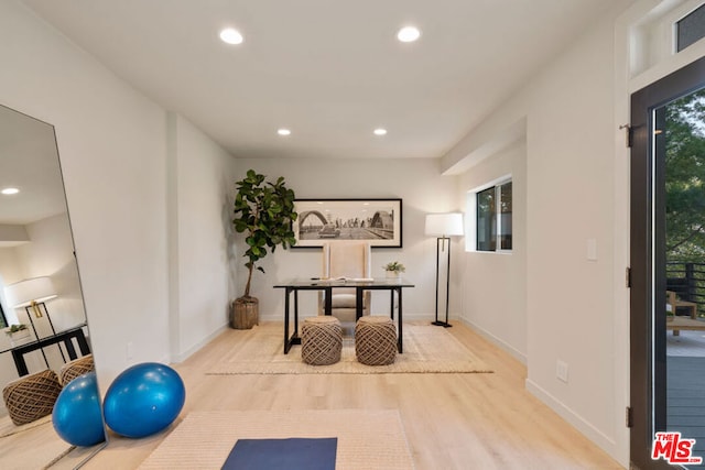 exercise room featuring light hardwood / wood-style floors