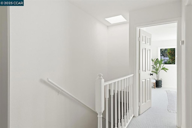 hallway featuring a skylight and carpet floors