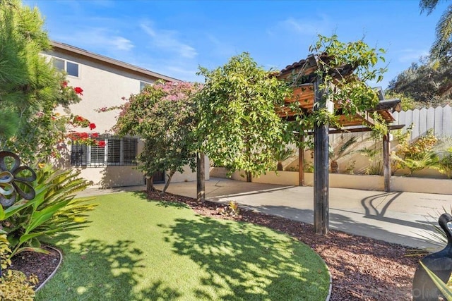 view of yard featuring a patio area