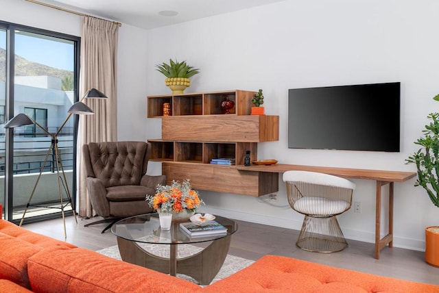 living room featuring light hardwood / wood-style flooring