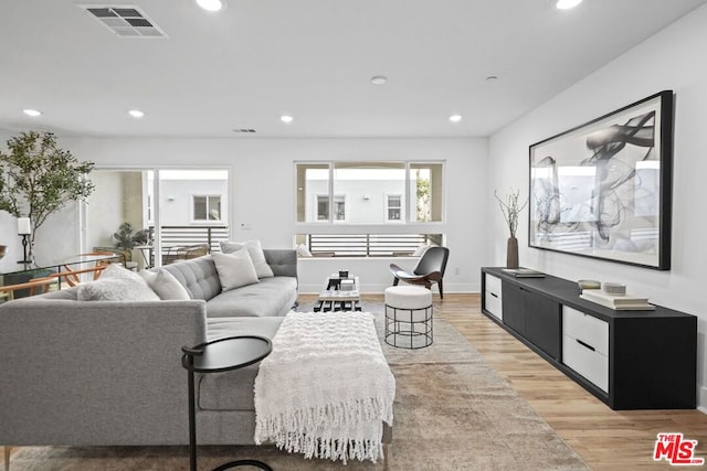 living room featuring light hardwood / wood-style floors