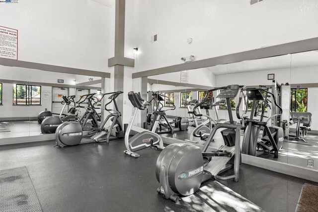 exercise room featuring a healthy amount of sunlight and a high ceiling