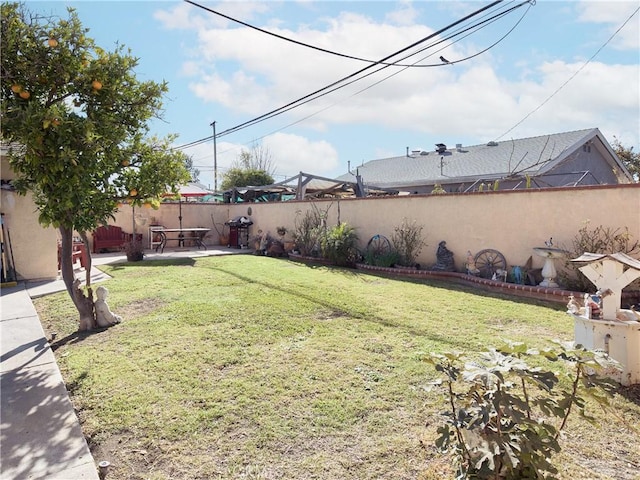 view of yard featuring a patio