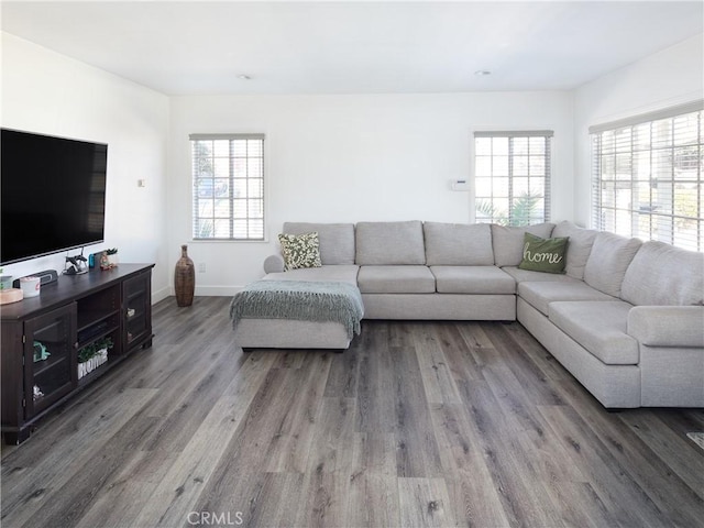 living room featuring hardwood / wood-style floors