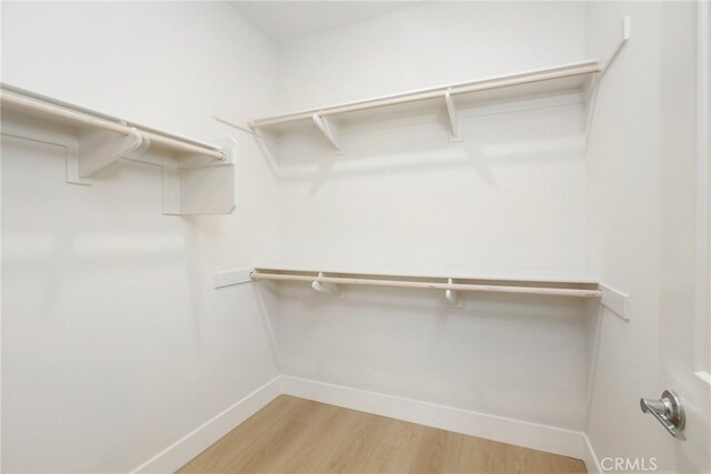 spacious closet featuring hardwood / wood-style flooring