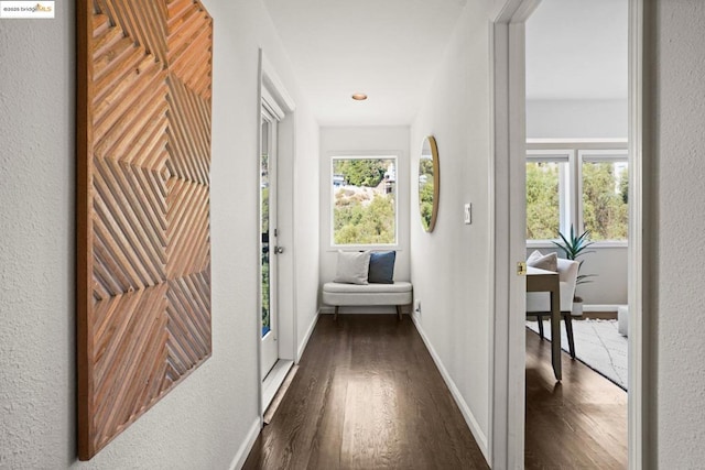 corridor featuring dark hardwood / wood-style flooring and plenty of natural light