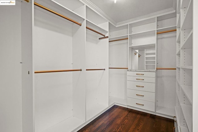 spacious closet with dark hardwood / wood-style flooring