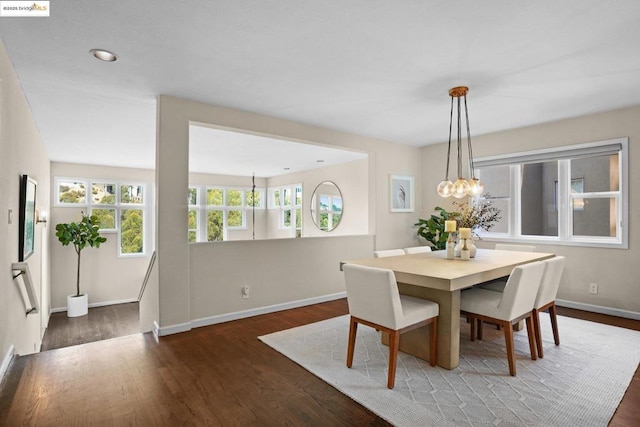 dining space featuring dark wood-type flooring