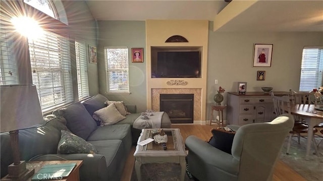 living room featuring a fireplace and wood finished floors