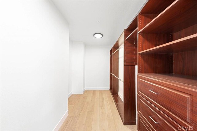 spacious closet featuring light wood-style floors