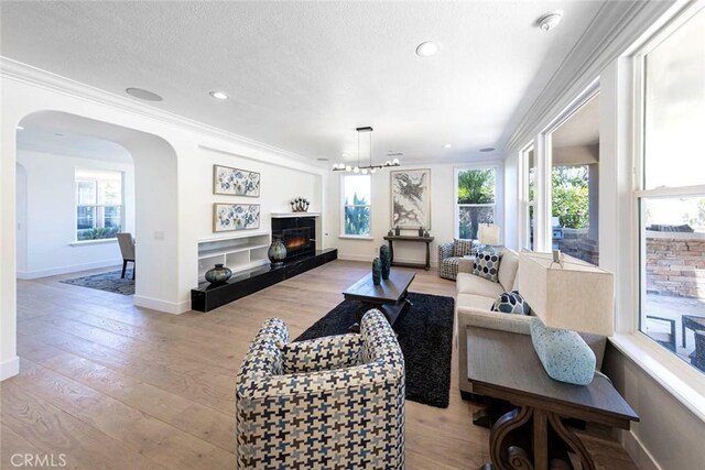 living room with a warm lit fireplace, a healthy amount of sunlight, crown molding, and light wood finished floors