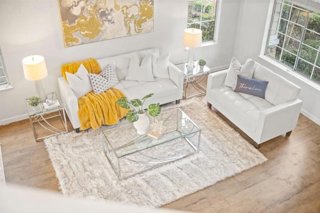 living room featuring hardwood / wood-style floors