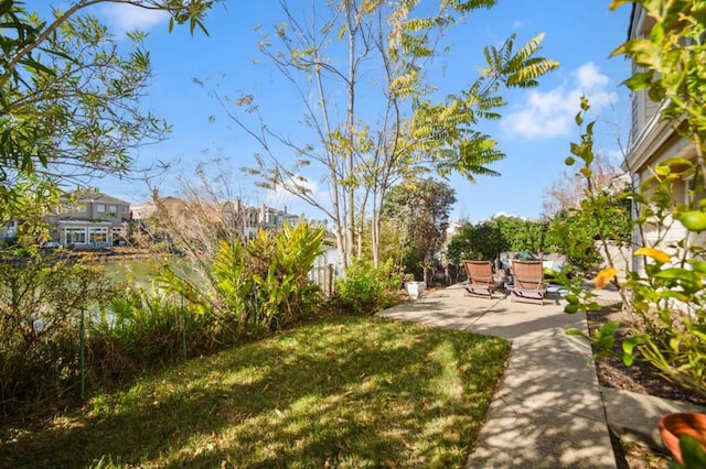 view of yard with a patio