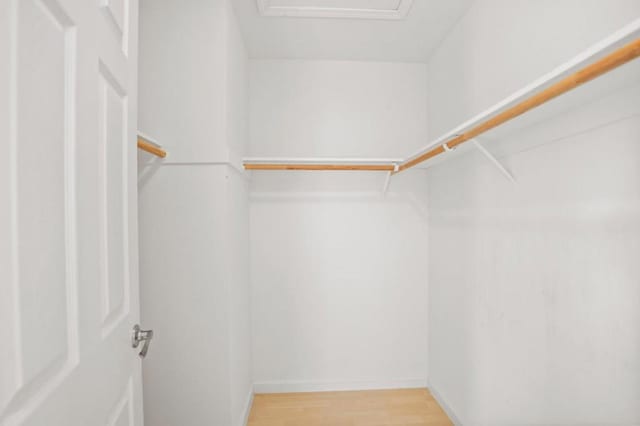 spacious closet with wood-type flooring