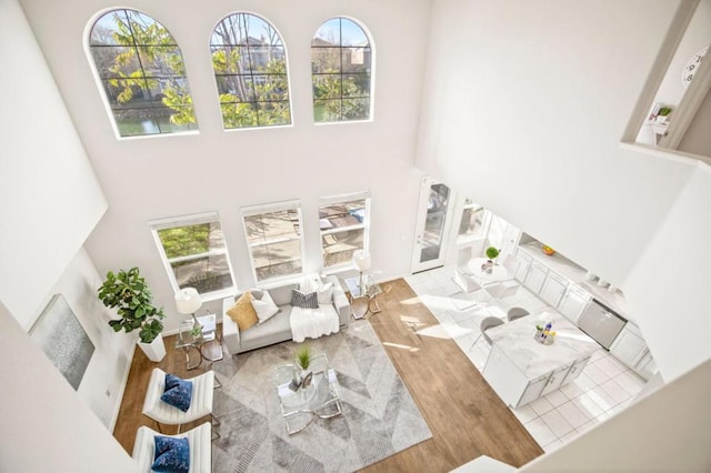 living room featuring a high ceiling and light hardwood / wood-style flooring