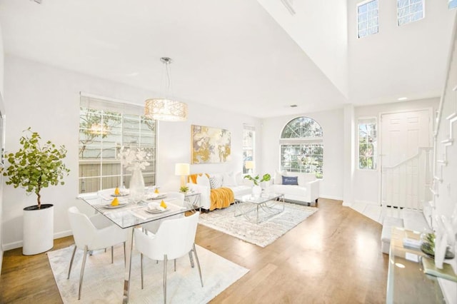 dining space featuring hardwood / wood-style floors