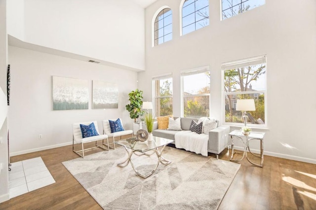 living room featuring a towering ceiling and hardwood / wood-style flooring