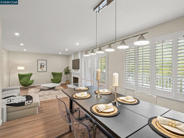 dining room featuring a healthy amount of sunlight and wood-type flooring