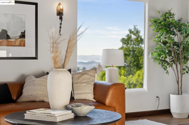 living area featuring a wealth of natural light and hardwood / wood-style floors