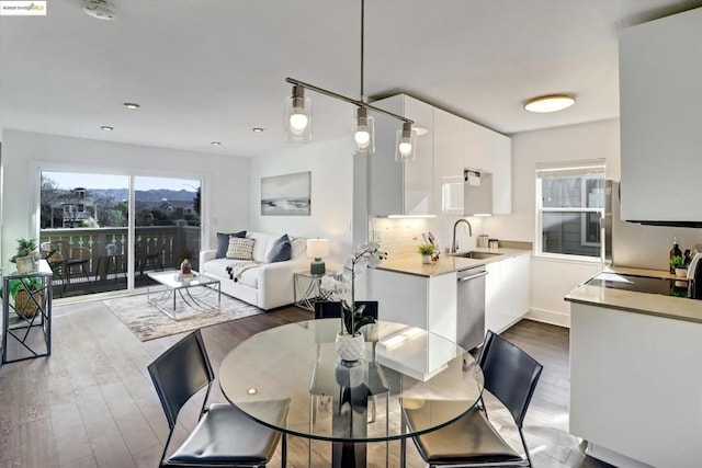 dining area with sink and dark hardwood / wood-style flooring