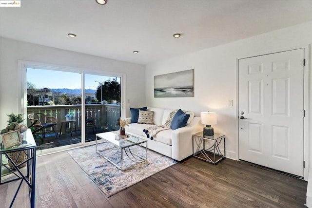 living room featuring hardwood / wood-style floors and a mountain view