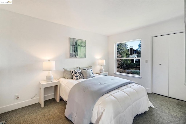 bedroom featuring a closet and carpet floors