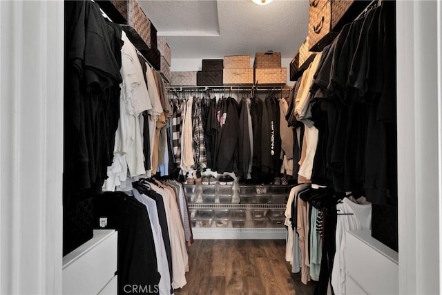 spacious closet with dark hardwood / wood-style flooring