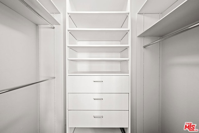 view of walk in closet