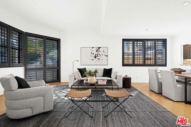 living room featuring wood-type flooring