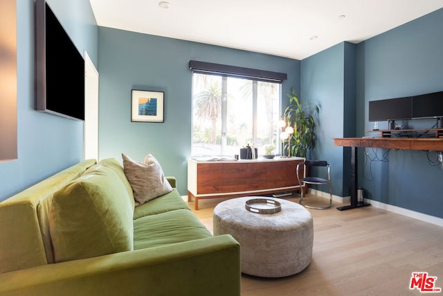 living room featuring light hardwood / wood-style flooring