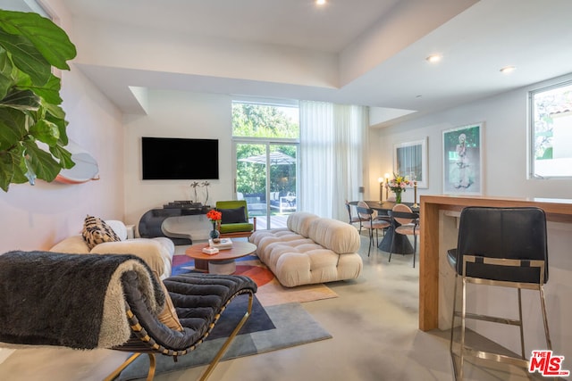 living room featuring concrete flooring