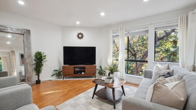 living room with plenty of natural light and light hardwood / wood-style floors