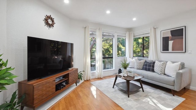 living room featuring light hardwood / wood-style floors