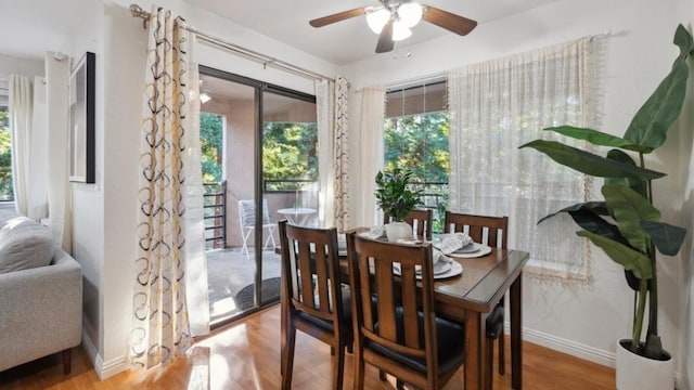 dining space with ceiling fan and light wood-type flooring