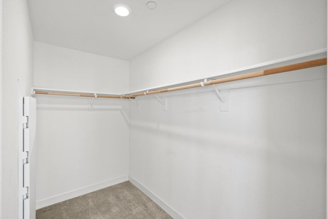 spacious closet featuring light colored carpet