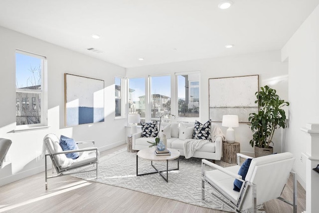 living room with light hardwood / wood-style flooring and a wealth of natural light