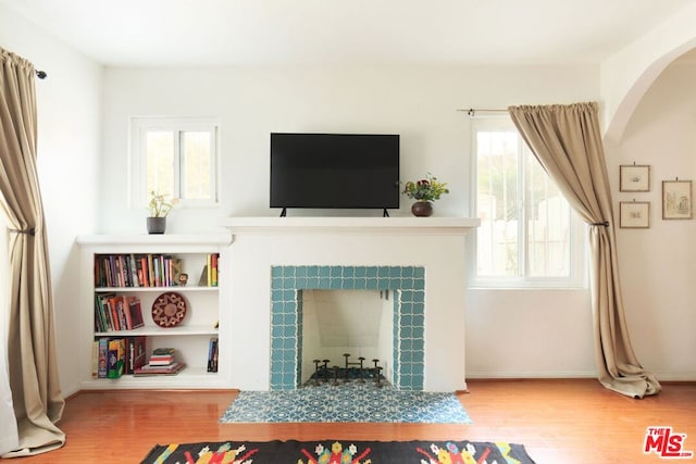 living room with hardwood / wood-style flooring and plenty of natural light