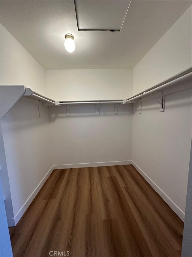 walk in closet featuring dark wood-type flooring