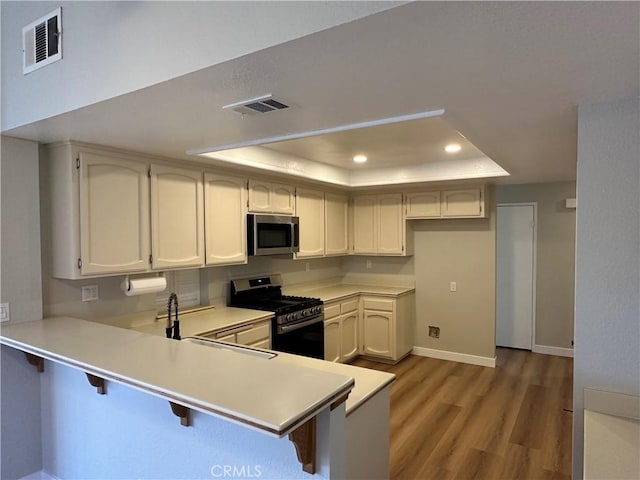 kitchen with a raised ceiling, a kitchen bar, kitchen peninsula, and appliances with stainless steel finishes