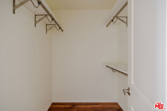 walk in closet featuring dark hardwood / wood-style floors