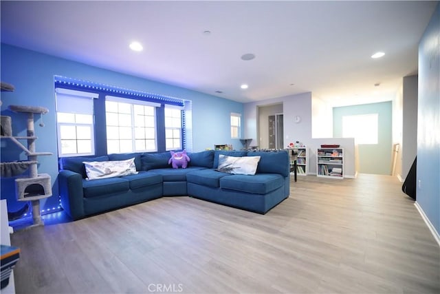 living room featuring light hardwood / wood-style floors