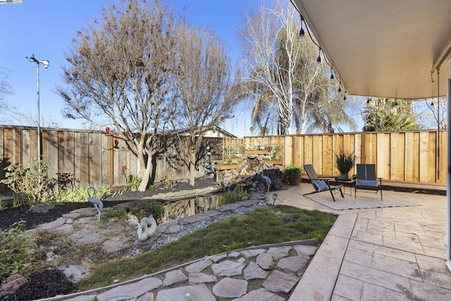 view of yard with a patio