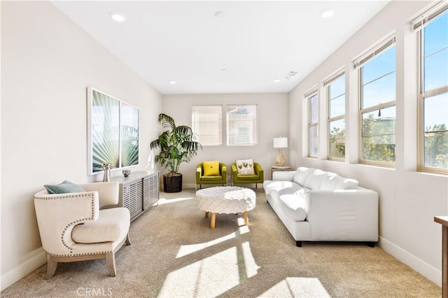 living room featuring light colored carpet